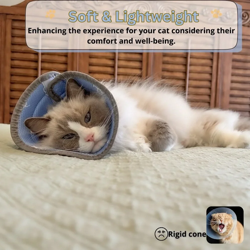Soft Cat Cone Collar, for Small Kittens Young Cats, E Collar for Cats, cat cone